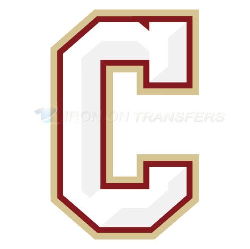 Charleston SC Cougars logo T-shirts Iron On Transfers N4127